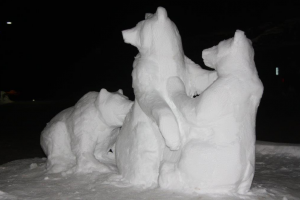 Tom Hjorliefson snow carving